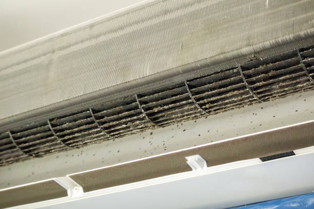 Best Ductwork Cleaning Services  in Barrett, TX
